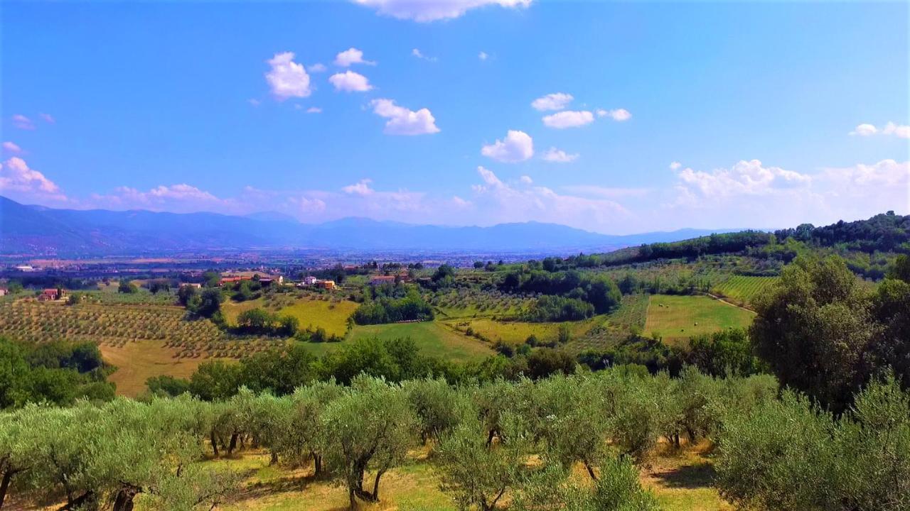 Agriturismo Camiano Piccolo Montefalco Dış mekan fotoğraf