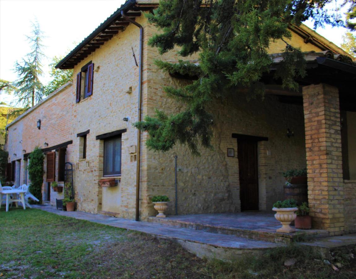 Agriturismo Camiano Piccolo Montefalco Dış mekan fotoğraf
