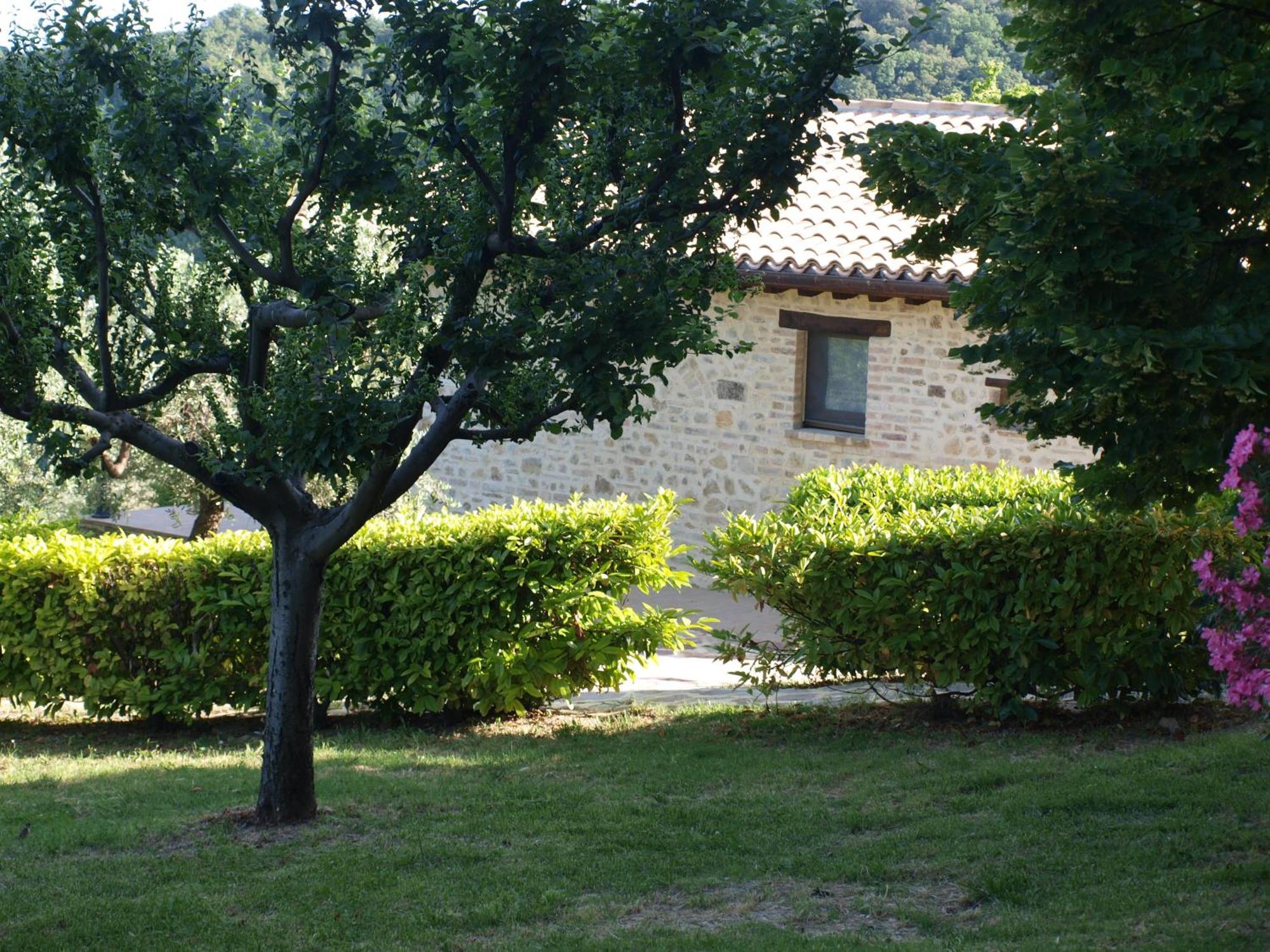 Agriturismo Camiano Piccolo Montefalco Dış mekan fotoğraf